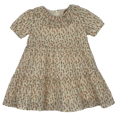 Ruffle Collar Dress