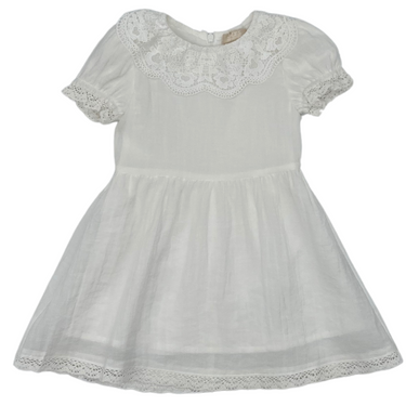 Lace Collar Dress
