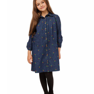 Blue Denim Cherry Embroidered Dress
