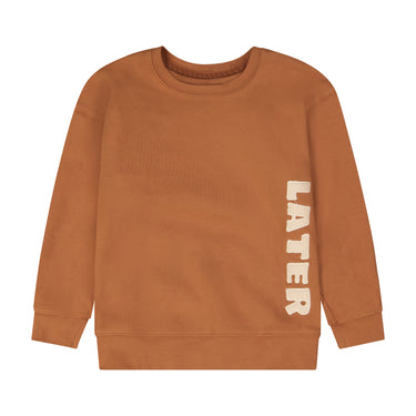 Later Sweatshirt Camel